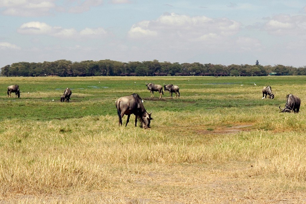 Kenia (163).jpg